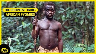 Meet the African Pygmies The shortest set of human beings [upl. by Rochester]