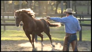 Parelli Natural Horsemanship [upl. by Grantham]