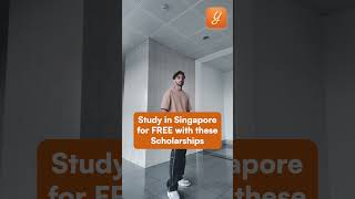 Study in SINGAPORE for FREE with these Scholarships 🤩 [upl. by Lib]