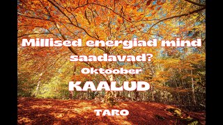 Taro Energiad Oktoober KAALUD [upl. by Gabe]