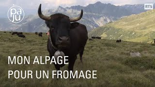 Mon alpage pour un fromage [upl. by Pero936]