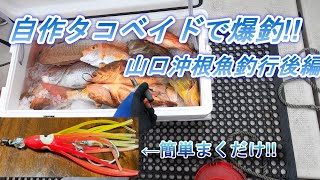 タイラバのヘッドにタコベイトつけたら爆釣しました。山口県沖根魚釣行後編 [upl. by Ayotl181]