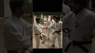 Federation Seminar 2024 Kick Move karate martialarts kungfu trainingcourse [upl. by Godewyn]