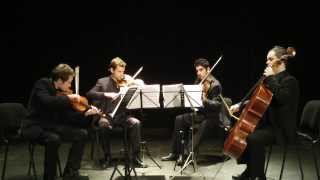 Game of Thrones  Main Theme  String Quartet [upl. by Lainahtan394]