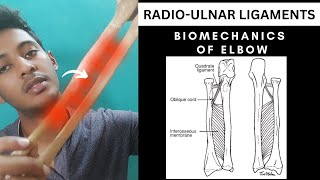 RADIOULNAR LIGAMENTS  ELBOW COMPLEX BIOMECHANICS Physiotherapy Tutorials [upl. by Yrrep499]