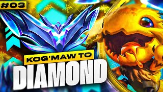 KogMaw Unranked to Diamond 3  KogMaw ADC Gameplay Guide  Season 13 KogMaw Gameplay [upl. by Akiemehs]