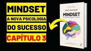 03  MINDSET  A Nova Psicologia do Sucesso  Carol S Dweck  CAPÍTULO 3 [upl. by Colyer213]