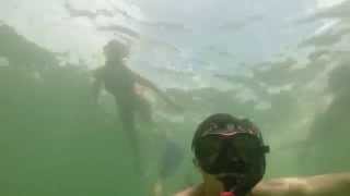 Snorkling in the National Park of Cahuita Terraventuras [upl. by Herriott700]