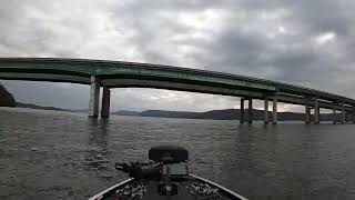 Live Lake Guntersville Bass fishing [upl. by Ecilahc643]