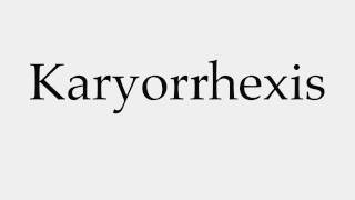 How to Pronounce Karyorrhexis [upl. by Lotsirk]