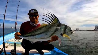 encontramos un gran cardumen de gallos pesca en mazatlan Sinaloa [upl. by Clayborne]