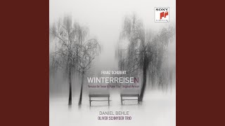 Winterreise D 911 No 12 Einsamkeit [upl. by Accebber]