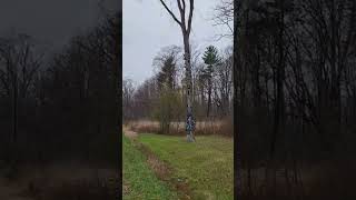 The shoe tree youtube everyone  creative highlights shortvideo [upl. by Meneau]