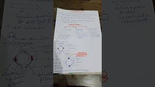 cytoskeleton biology shortvideo shortsfeeds class11 biology [upl. by Aerdnaxela]