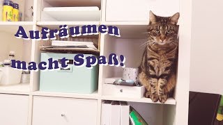 VLOG 10  Büro AufräumAussortierAction Teil 1 [upl. by Wharton]