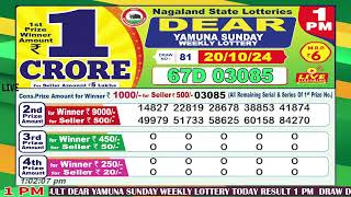 Dear Yamuna Sunday Weekly Lottery 100 PM 20102024 Dear Goverment Lotteries Live Draw Results [upl. by Enyamrahc697]