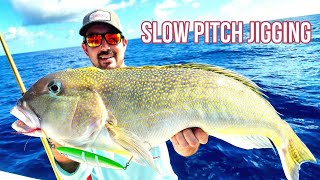 New 2023 Slow Pitch Jig is Deadly Slow Pitch Jigging ALL Depths  Offshore Fishing  Johnny Jigs [upl. by Audette]