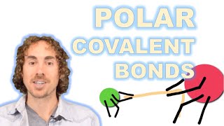 Polar Covalent Bonds [upl. by Gorey932]