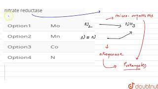 Component of nitrogenase and nitrate reduction is [upl. by Aennil]