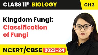 Kingdom Fungi Classification of Fungi  Class 11 Biology Chapter 2  NCERTCBSE [upl. by Alilahk]