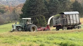 Chopping Sorghum Silage [upl. by Pastelki212]