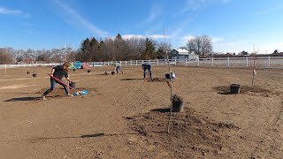 We Planted an Orchard 🍎🍑🍐  Garden Answer [upl. by Quintie]