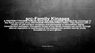 Medical vocabulary What does srcFamily Kinases mean [upl. by Triley]