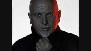 My Ambient Heroes Peter Gabriel  Floating Dogs [upl. by Eta]