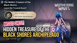 Secret Chest You Definitely Missed in the Black Shores Archipelago  Wuthering Waves [upl. by Amora]