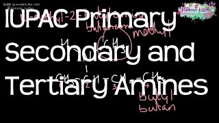 Primary Secondary and Tertiary Amines using IUPAC Systematic nomenclature  ALevel Chemistry [upl. by Okeim]