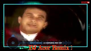 DJ Acer Remix In The Mix Aniceto Molina Mix [upl. by Yerffej]