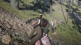 RDR2  Bighorn Ram defends his fallen comrade [upl. by Ahsinut]