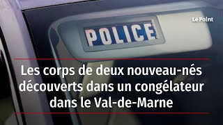 Les corps de deux nouveaunés découverts dans un congélateur dans le ValdeMarne [upl. by Berwick]