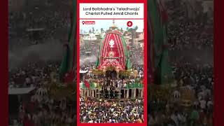 Jagannath Rath Yatra Lord Balbhadras Taladhwaja Chariot Pulled Amid Chants  Odisha News [upl. by Vescuso]