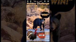 “Holiday Challenge Can You Spot the Hidden Wildlife” [upl. by Kohler]