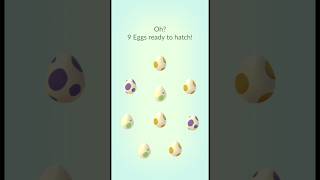 i hatched 2 🤯 rare pokemon 🔥 Back to Back in Pokemon Go  Larvesta amp Charcadet Hatch  Shorts [upl. by Zailer]