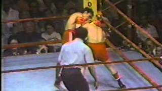 19770423  Carlos Zarate vs Alfonso Zamora  USA TV [upl. by Betteanne]