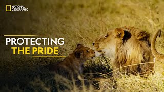 Protecting the Pride  Savage Kingdom Uprising  Reign of Traitors  Full Episode  S1E3  हिंदी [upl. by Nnail]