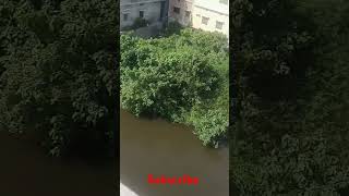 Flow river shortvideo viralvideo treanding ytshorts attituderingtone subscribe comments [upl. by Odnama203]