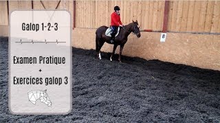 Examen Galop 1 et 2 avec en plus exo pratique du Galop 3 [upl. by Rondi]