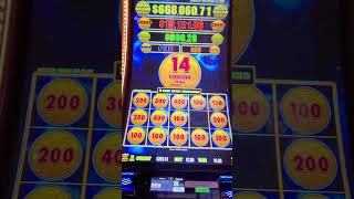 Dollar Storm MEGA GRAND Link 200BET shorts slots casino [upl. by Carry828]