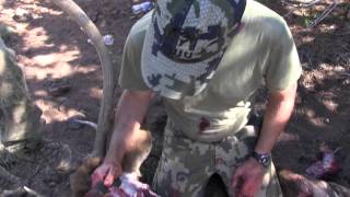 Elk Hunting Gutless Field Dressing Method 5 [upl. by Wertz]