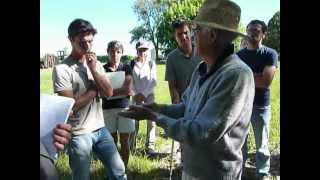 Visite Viticulture Alex PODOLINSKY DORDOGNE Juillet 2012 Part 9 Silice 501 [upl. by Perri85]