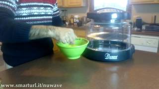 Easy Frittata Recipe using a Nuwave Oven [upl. by Hgielek]