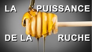 La puissance de la ruche  tout savoir sur le miel la propolis la gelée royale et le pollen [upl. by Anaic]