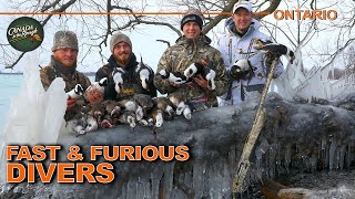 EXCITING Fastpaced Duck Hunting in Ontario  Canada in the Rough [upl. by Niall]