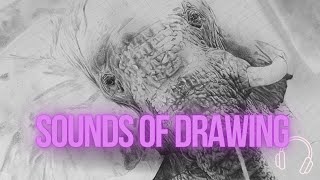 Sound of Drawing  Ep 4  Elephant in Graphite Pencil [upl. by Anayet]