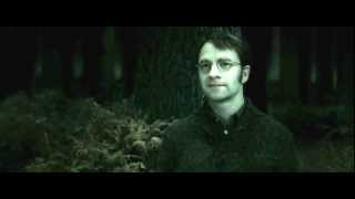 Ron Destroys the Locket  Harry Potter and the Deathly Hallows Part 1 HD [upl. by Leber]