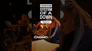 System of a Down Symphony  Toxicity  CAGMO cagmo orchestra soad toxicity instrumental [upl. by Sardse]