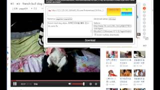 56com Video Downloader for Chrome [upl. by Atnes969]
